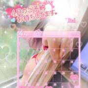 ヒメ日記 2026/04/01 12:02 投稿 怜(れい) 高崎回春性感SPA