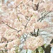 ヒメ日記 2025/04/11 14:30 投稿 麻里(まり) 高崎回春性感SPA