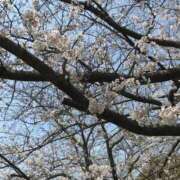 ヒメ日記 2026/03/30 21:49 投稿 勝野 鶯谷デッドボール