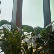 ヒメ日記 2025/03/04 16:01 投稿 ミナ マテリアル