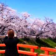 ヒメ日記 2025/04/05 07:18 投稿 ひめの クラブA