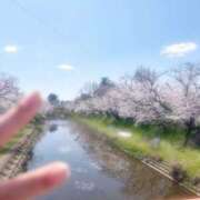 ヒメ日記 2025/04/08 08:48 投稿 ひめの クラブA