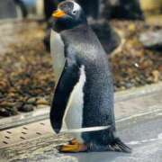 ヒメ日記 2025/07/28 10:48 投稿 ひめの クラブA