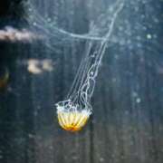 ヒメ日記 2025/07/28 11:30 投稿 ひめの クラブA