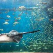 ヒメ日記 2025/07/28 23:03 投稿 ひめの クラブA