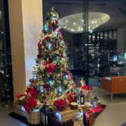 ヒメ日記 2025/12/05 23:47 投稿 みすず 変態なんでも鑑定団