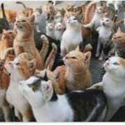 ヒメ日記 2025/01/25 12:52 投稿 倉持夢来(くらもちゆら) 五十路マダムエクスプレス厚木店(カサブランカグループ)