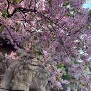 ヒメ日記 2025/02/01 07:04 投稿 倉持夢来(くらもちゆら) 五十路マダムエクスプレス厚木店(カサブランカグループ)