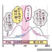 ヒメ日記 2025/02/02 10:02 投稿 倉持夢来(くらもちゆら) 五十路マダムエクスプレス厚木店(カサブランカグループ)
