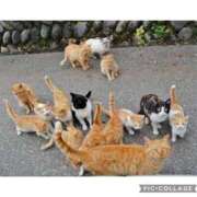 ヒメ日記 2025/02/05 19:54 投稿 倉持夢来(くらもちゆら) 五十路マダムエクスプレス厚木店(カサブランカグループ)