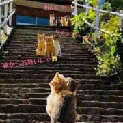 ヒメ日記 2025/02/23 08:30 投稿 倉持夢来(くらもちゆら) 五十路マダムエクスプレス厚木店(カサブランカグループ)