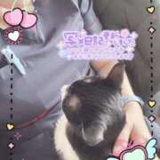 ヒメ日記 2025/03/11 13:38 投稿 倉持夢来(くらもちゆら) 五十路マダムエクスプレス厚木店(カサブランカグループ)