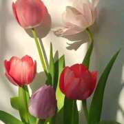 ヒメ日記 2025/03/01 17:38 投稿 もね アドミsince2002立川デリヘル&Go To FANTASY東京本店