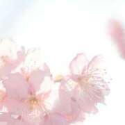 ヒメ日記 2025/03/23 15:45 投稿 もね アドミsince2002立川デリヘル&Go To FANTASY東京本店