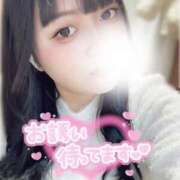 ヒメ日記 2025/01/24 12:22 投稿 かりん 白いぽっちゃりさん