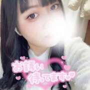 ヒメ日記 2025/01/24 18:23 投稿 かりん 白いぽっちゃりさん