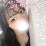 ヒメ日記 2025/05/18 12:54 投稿 かりん 白いぽっちゃりさん