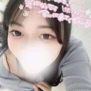 ヒメ日記 2025/05/31 11:43 投稿 かりん 白いぽっちゃりさん