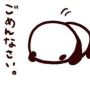 ヒメ日記 2025/06/14 09:22 投稿 かりん 白いぽっちゃりさん