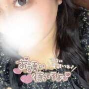 ヒメ日記 2025/07/05 13:52 投稿 かりん 白いぽっちゃりさん