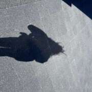 ヒメ日記 2025/11/12 13:53 投稿 なぎさ みるくDX