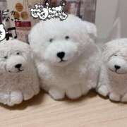 ヒメ日記 2025/02/03 01:52 投稿 こさめ 池袋サンキュー