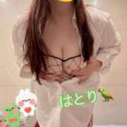 ヒメ日記 2025/03/27 07:02 投稿 はとり ごほうびSPA上野店