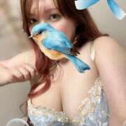 ヒメ日記 2025/07/10 20:44 投稿 はとり ごほうびSPA上野店