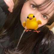 ヒメ日記 2026/02/11 20:52 投稿 はとり ごほうびSPA上野店