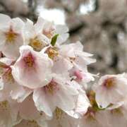 ヒメ日記 2025/04/21 11:10 投稿 ほのか 44 heart ～ヨンヨンハート～