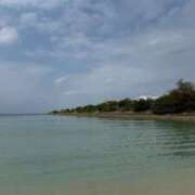 ヒメ日記 2026/03/17 23:53 投稿 みいな AFTER V（アフターファイブ）