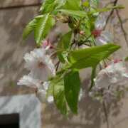 ヒメ日記 2025/04/30 20:59 投稿 あすか 制服向上委員会