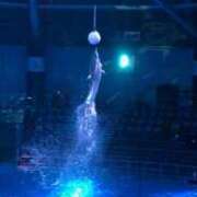 ヒメ日記 2025/02/07 15:08 投稿 みく 小岩人妻花壇