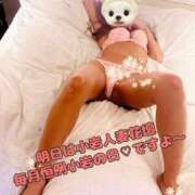 ヒメ日記 2025/02/07 20:26 投稿 みく 小岩人妻花壇