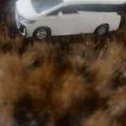 ヒメ日記 2025/02/18 09:51 投稿 みく 小岩人妻花壇