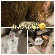 ヒメ日記 2025/02/22 14:39 投稿 みく 小岩人妻花壇