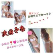 ヒメ日記 2025/03/25 14:21 投稿 みく 小岩人妻花壇