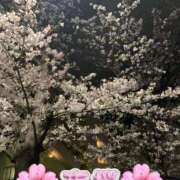 ヒメ日記 2025/04/07 19:28 投稿 みく 小岩人妻花壇