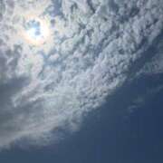 ヒメ日記 2025/05/19 21:40 投稿 みく 小岩人妻花壇