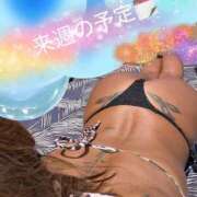 ヒメ日記 2025/07/13 17:11 投稿 みく 小岩人妻花壇