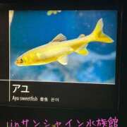 ヒメ日記 2025/08/02 17:33 投稿 みく 小岩人妻花壇