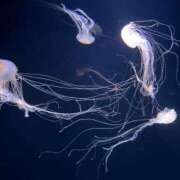 ヒメ日記 2025/08/03 09:42 投稿 みく 小岩人妻花壇