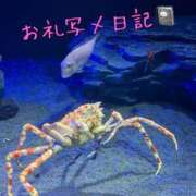 ヒメ日記 2025/08/03 13:03 投稿 みく 小岩人妻花壇