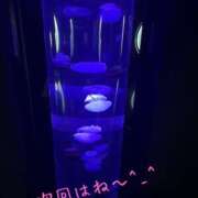 ヒメ日記 2025/08/03 20:29 投稿 みく 小岩人妻花壇