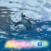 ヒメ日記 2025/08/14 09:51 投稿 みく 小岩人妻花壇