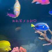 ヒメ日記 2025/08/24 18:30 投稿 みく 小岩人妻花壇