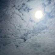 ヒメ日記 2025/09/15 10:38 投稿 みく 小岩人妻花壇