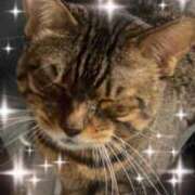 ヒメ日記 2025/09/21 18:36 投稿 みく 小岩人妻花壇