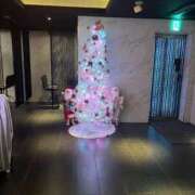 ヒメ日記 2025/11/14 17:56 投稿 みく 小岩人妻花壇