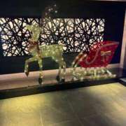 ヒメ日記 2025/11/24 17:43 投稿 みく 小岩人妻花壇